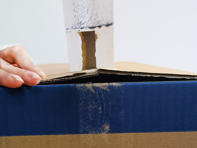 黄瓜视频色色下载