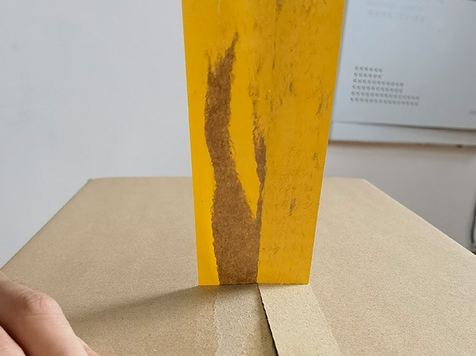 成都用黄瓜自慰爽爽免费观看黄瓜视频色色下载